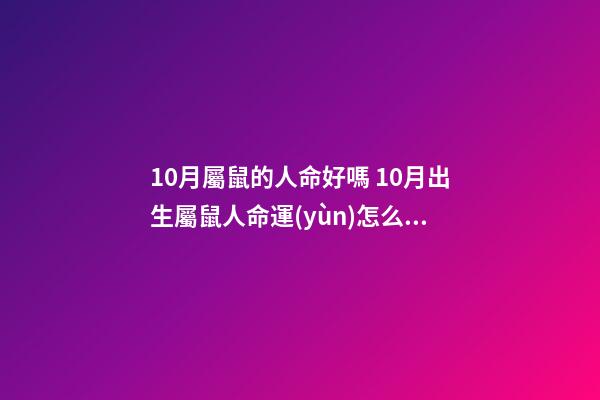 10月屬鼠的人命好嗎 10月出生屬鼠人命運(yùn)怎么樣 10月屬鼠的人命好嗎-第1張-觀點(diǎn)-玄機(jī)派